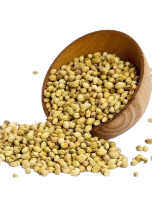 LOOSE CORIANDER SEEDS